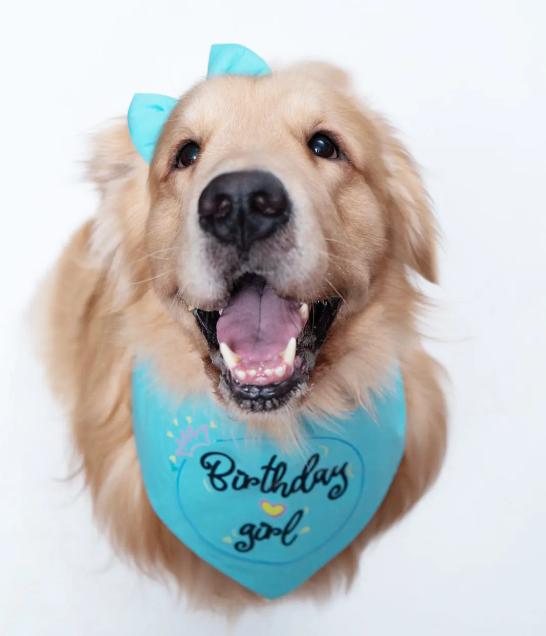 Birthday Girl Neckerchief