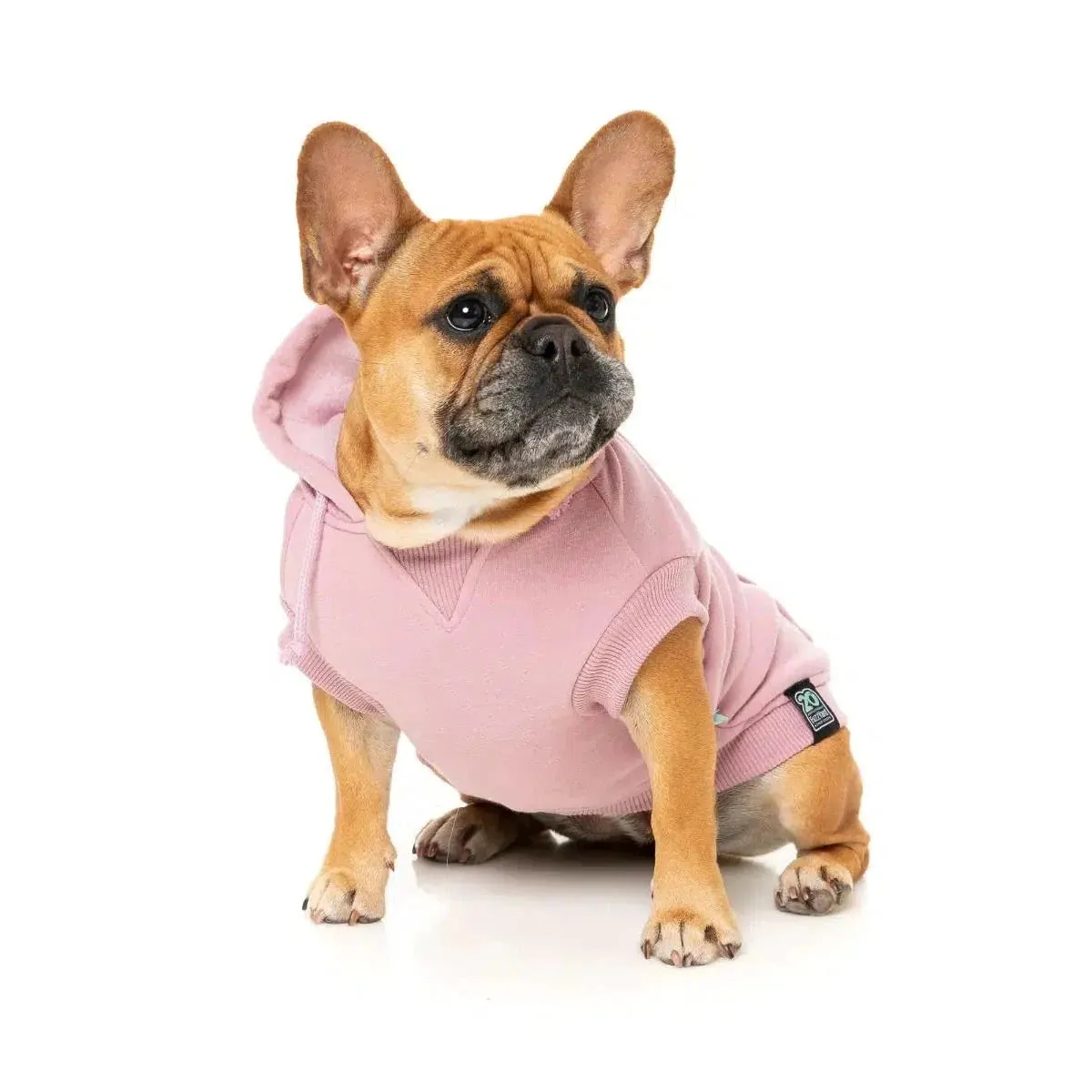 FuzzYard | Treats Hoodie - Pink