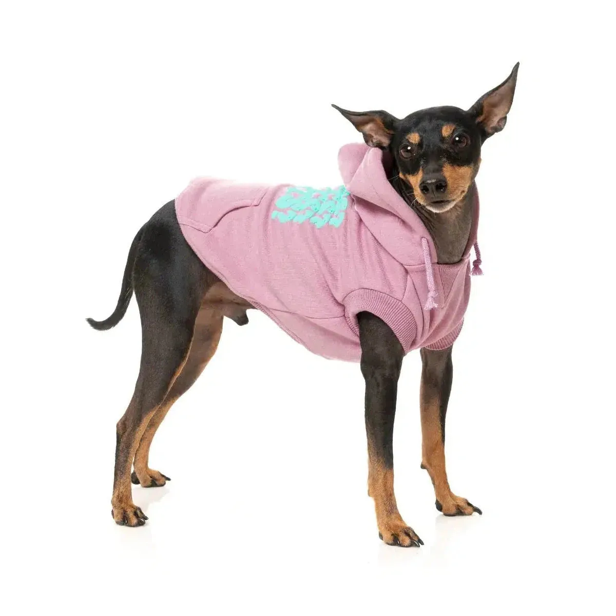 FuzzYard | Treats Hoodie - Pink