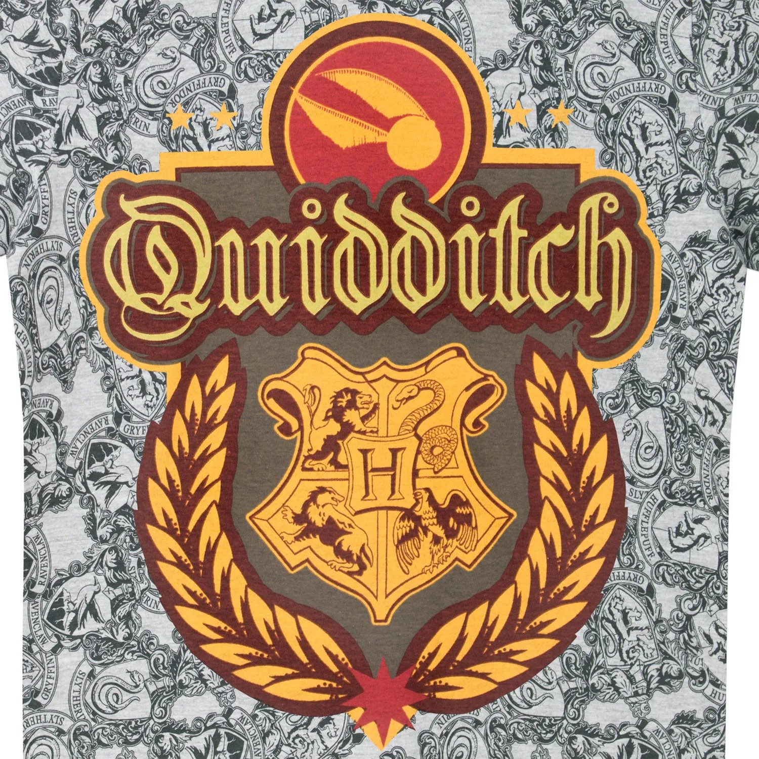 Harry Potter T-shirt - Quidditch